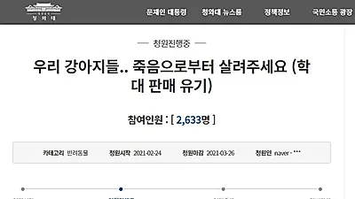 "반려견, 피분양자에게 살가죽 뜯긴 채 돌아왔다"…靑 청원 등장