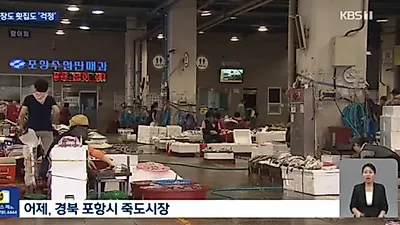 후쿠시마 오염수 방송 하지 말아달라는 반응 화제