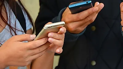 고소도 주작? 스튜디오 뿌리 일러스트레이터 실체 '경악' 