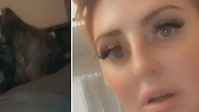 잠에서 깨보니 침대 위에 있던 낯선 댕댕이…전날 밤, 무슨 일이?