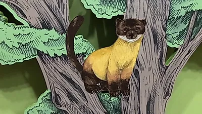 크낙새를 만나러 광릉숲으로 떠나볼까요?