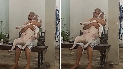 댕댕이 껴안고 자장가에 과몰입한 아빠…'개 안된다며?'