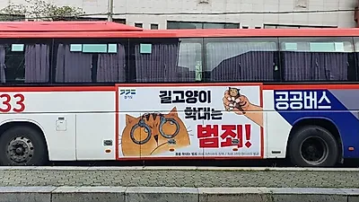 “길고양이 학대는 명백한 범죄!” 경기도, 공공버스 활용해 대국민 홍보 나서