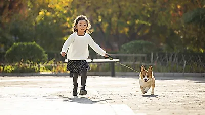 경기도, 음수대 등 반려견 친화 하천 조성 본격화‥2억2,000만원 예산 교부 완료