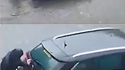 사람들 구하려고 주인과 함께 '침수 차량' 밀어낸 댕댕이