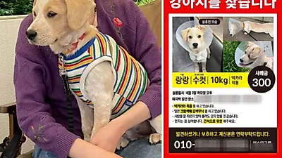동물병원에 맡겨진 '랑랑이' 결국 사체로 돌아와