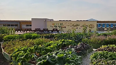 인천시, 남촌농산물도매시장에 ‘옥상텃밭’ 조성