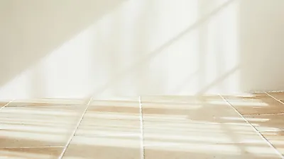 아침 햇살 충분히 쬐면 얻을 수 있는 5가지 이득