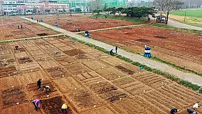 수원시,‘2022년 시민농장 체험 텃밭’신청 받는다