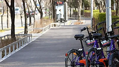 수원시 무인 공유자전거 TAZO 가입자, 15만 명 넘어서