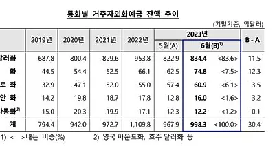 역대금 엔저에 '환차익' 노려 환전...엔화 예금 증가폭 '사상 최대'