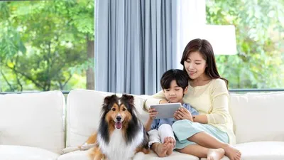 반려인은 꼭 알아야 할 댕댕이의 감정표현법 5가지