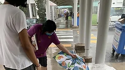 폭우 속에 웅크려있던 길고양이 보자마자 행인들이 한 행동
