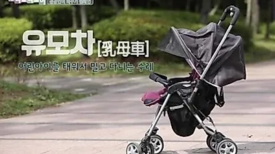 유모차 유아차 무슨 차이? 국립국어원 입장은… 