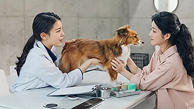 흔히 나타나는 강아지 질병, 미리 예방이 필수