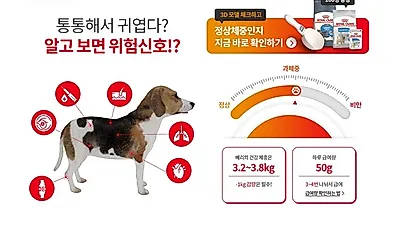 로얄캐닌코리아, ‘2022 반려동물 체중관리 캠페인’ 진행