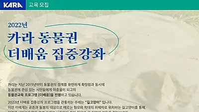 동물권행동 카라, ‘길고양이’ 혐오 확산에 맞서 동물권 연속강좌 개최