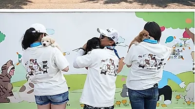 펫시민, 작가 키크니 콜라보  유기동물 보호소 벽화캠페인 ‘우린 행복해야 해요’ 개최