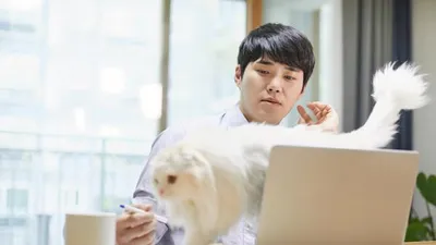 재택근무 중 야근하면 수당 받을 수 있나요?