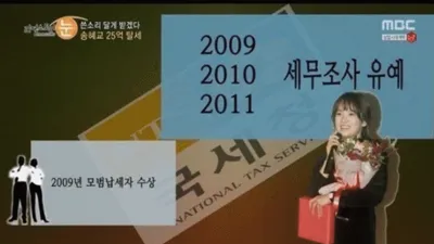 송혜교 탈세, 모범납세자여서 가능했다? 의혹 재조명