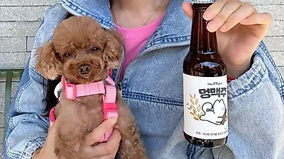 윤세아, '멍맥주' 먹고 발그레해진 반려견 "주인도 못 알아봅니다" 
