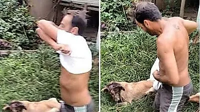 다친 유기견 보자마자 남성이 윗옷을 벗은 '진짜' 이유