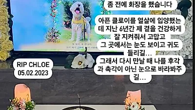 故서세원 딸 서동주, 발인하자마자 또…"좀 전에 화장했다"