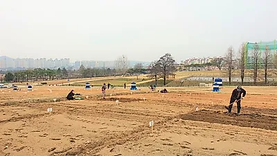 시민들의 휴식처, 수원시 시민농장 개장
