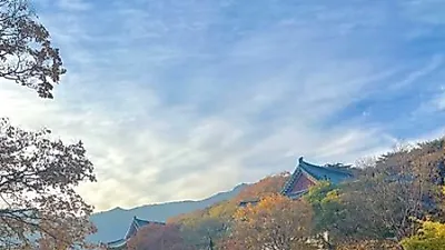 이승기 여자친구 이다인, 약 1년만에 반가운 소식 전해