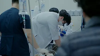 의료 용어 "코드 블루"의 뜻은?.....의료 용어 정리
