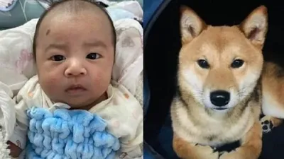 "죽은 반려견이 환생한 듯"…아기 이마에 찍힌 '특별한 점'