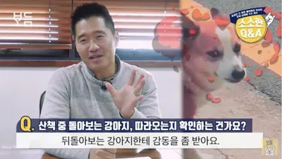 우리집 강아지가 산책 중에 뒤돌아보는 '진짜 이유'