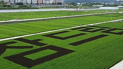 ‘참드림’ 밥맛 만족도 높게 나타나. 영양사 80% 이상 ‘학교급식 활용 의사 있어’