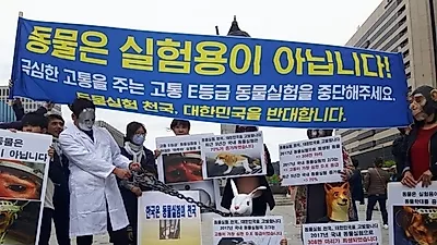 4.24일(토) '세계 실험동물의 날' 동물실험 중단을 촉구하는 퍼포먼스 기자회견