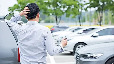 ‘먹는 것’만으로도 기억력이 달라진다?