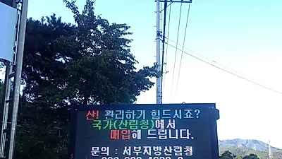 산림청, 연금 지급식 사유림 매수제도 도입