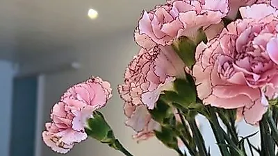 ‘남편 케빈오♥’ 공효진, 결혼식 이후 인스타에 집 공개…나이 무슨 일?