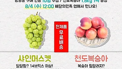 한국농수산식품유통공사 배민쇼핑라이브 첫방