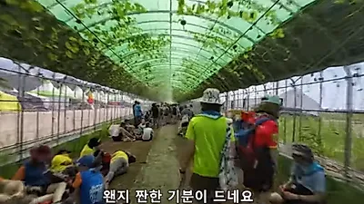 잼버리 현장 방문한 유튜버 경악 "어른들이 미안해"