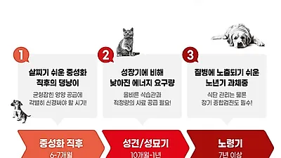 반려동물, 자칫 방심하다가 ‘과체중, 비만’으로… 보호자들의 세심한 급여 관리가 필수