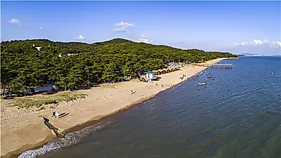 28개 인천 해수욕장, 7월 1일부터 차례로 개장