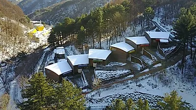 2022 경기도 산림시책 ‘탄소중립·도민행복’에 초점‥1,390억 투자