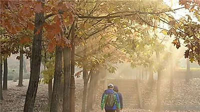 ‘사람의 발길이 닿지 않는 시간과 공간의 공원은 어떤 모습일까?