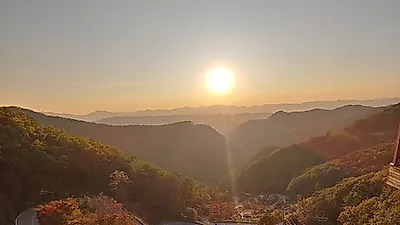 국유림 명품숲 '속리산말티재숲', 명품다운 아름다움 뽐내