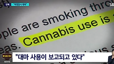 잼버리에서 학생들 대마 피웠다? "후속 조치 없었다"