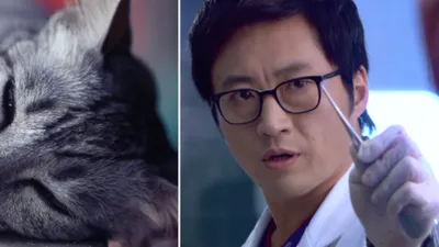 "한 명은 있을 줄…" 법수의학자, 필요성 높아지는 이유는?