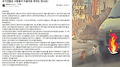 빨리 안비킨다며 유기견 차로 밟아 죽인 봉고차주…"그까짓꺼 벌금 내면 돼"