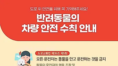 도로교통공단 '반려동물 차량 안전 수칙 안내'