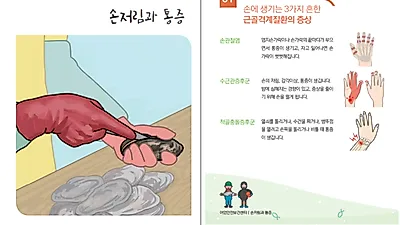 어업인, 근골격계 질환 가장 많이 겪어