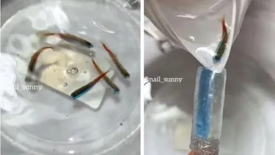 '손톱에 살아있는 물고기 넣어버려'…여론 뭇매 맞은 러 네일샵